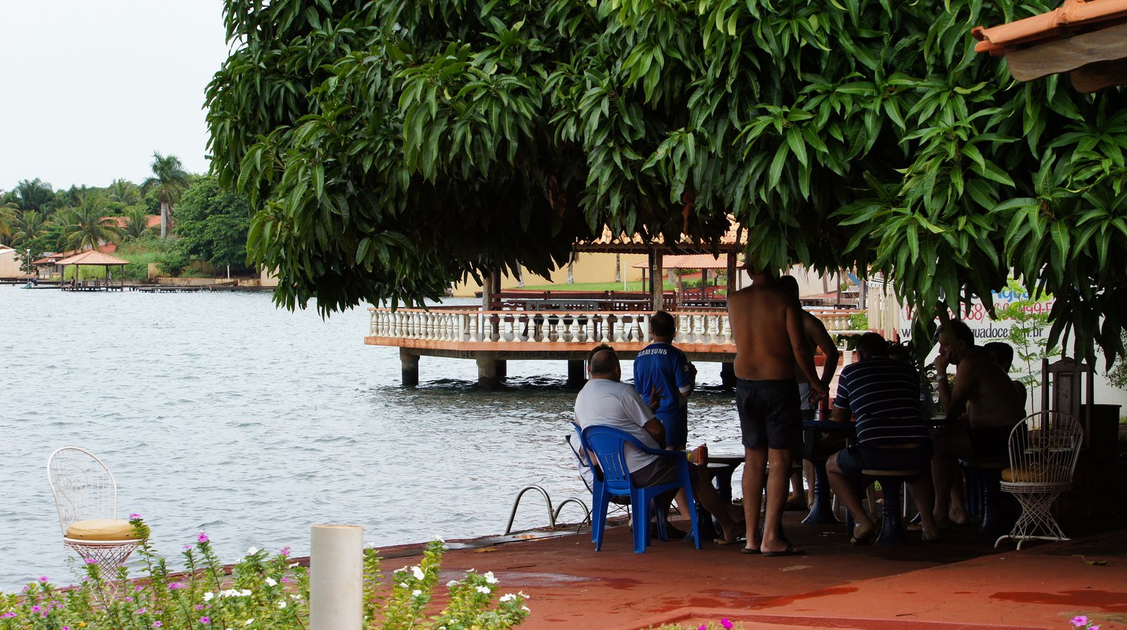 SONY DSC