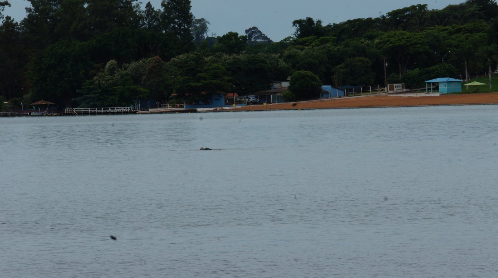 SONY DSC