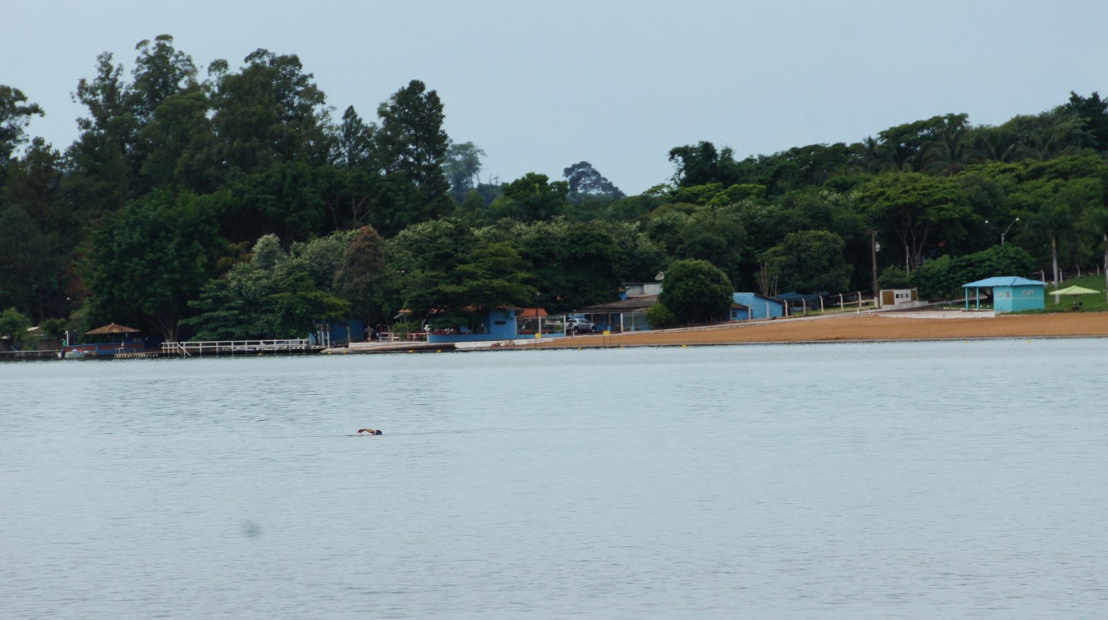 SONY DSC