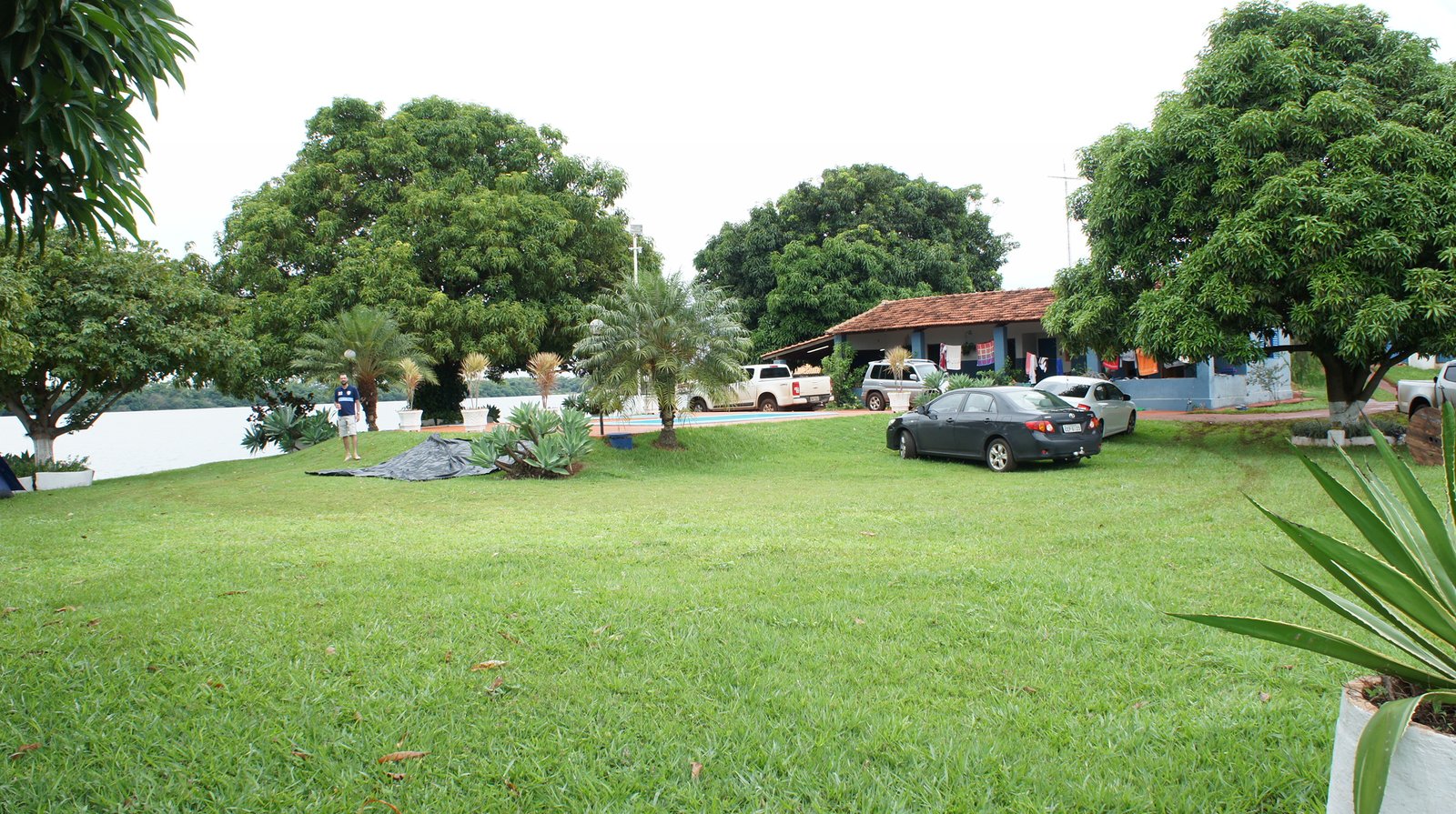 SONY DSC