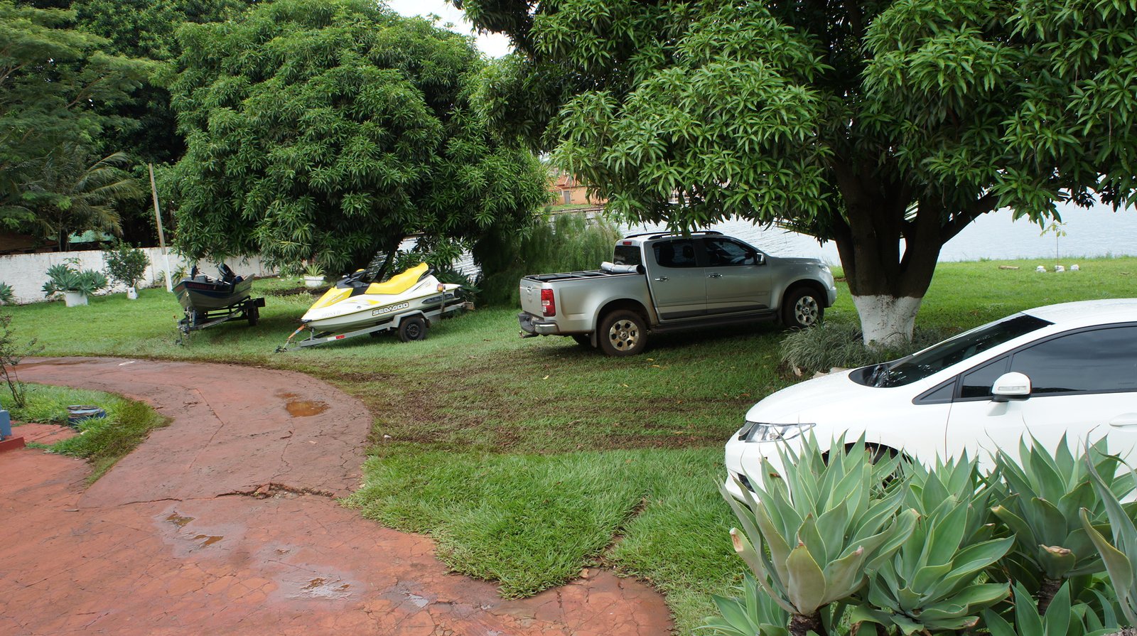 SONY DSC
