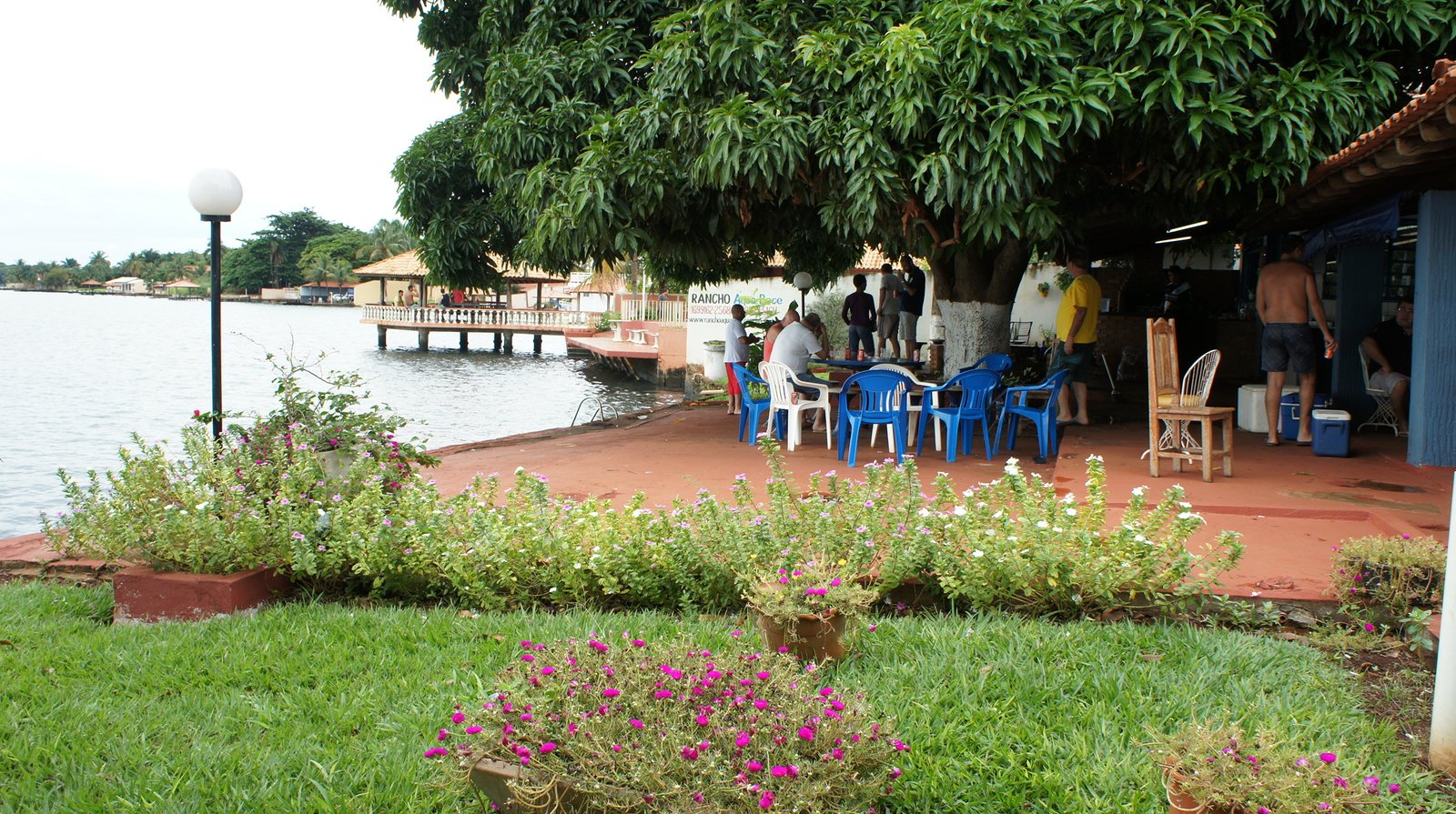SONY DSC