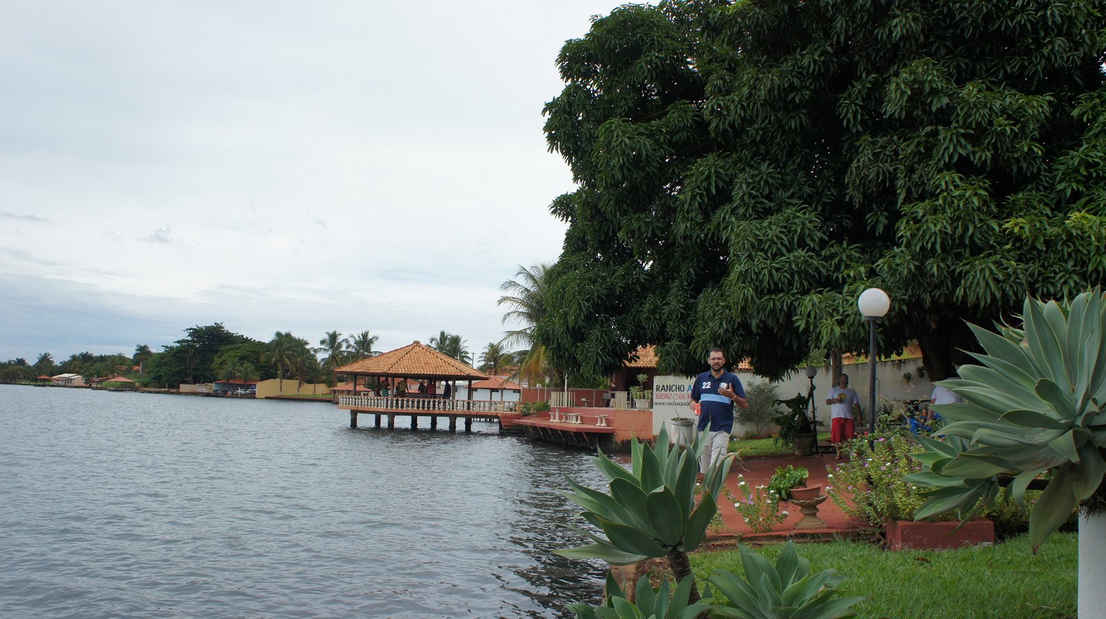 SONY DSC